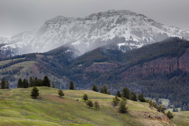How Many Days Do You Need in Yellowstone National Park?